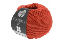 Cool Wool Big 999 roestbruin